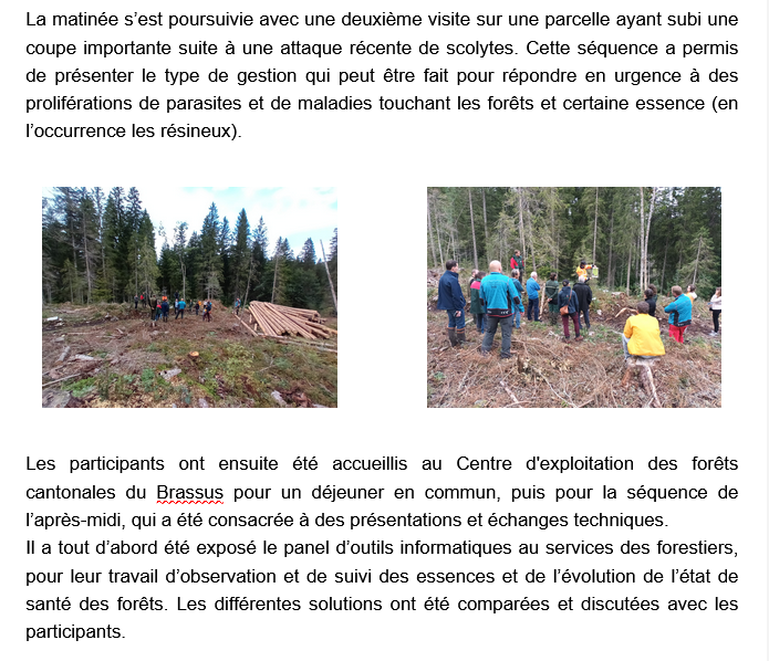 rencontre forêt - 4.9.25