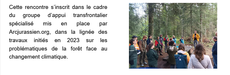 rencontre forêt - 4.9.25