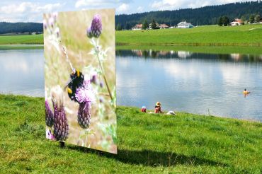 Collaboration entre le festival Alt+1000 et le Parc naturel régional du Doubs horloger