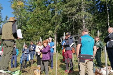 Forêt et changement climatique : nouvelle rencontre franco-suisse