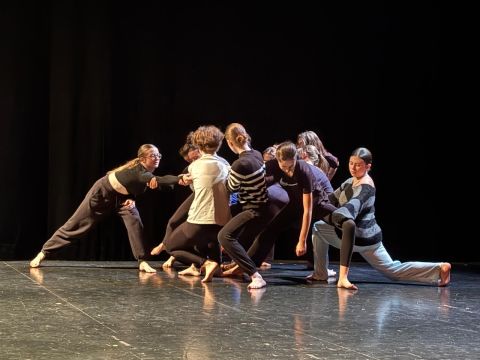Sa danse