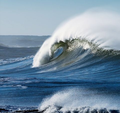 LA VAGUE